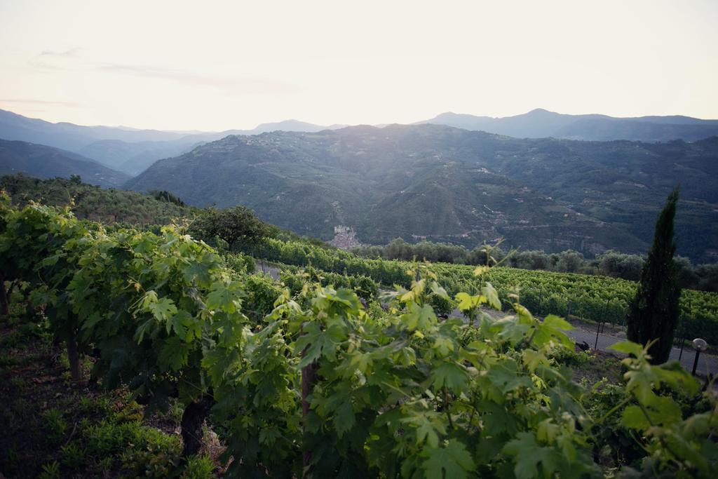 Terre Bianche Appartamenti Dolceacqua Kültér fotó